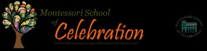 Montessori School of Celebration